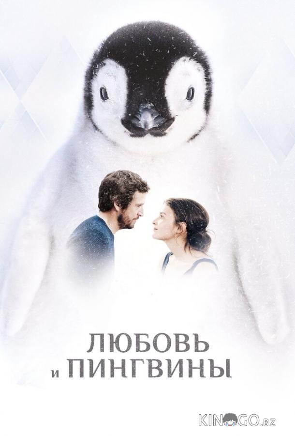Любовь и пингвины