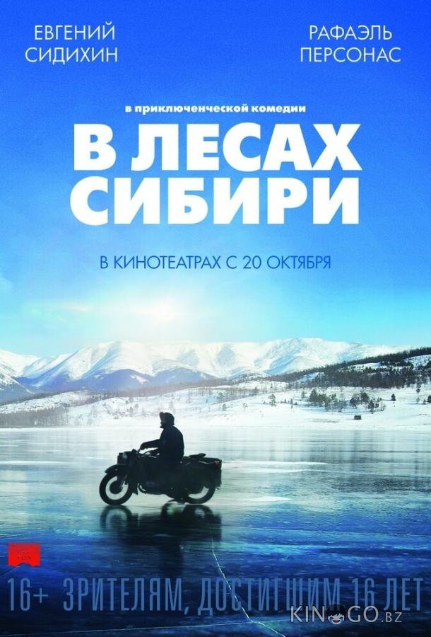 В лесах Сибири