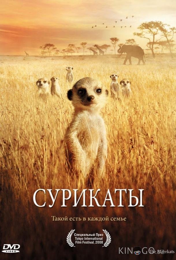 Сурикаты