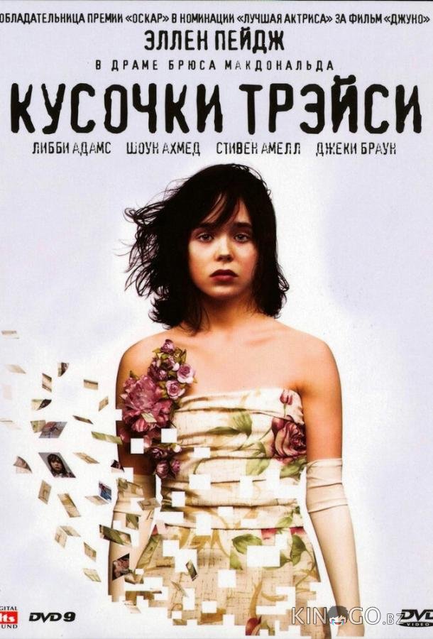 Кусочки Трэйси