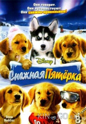 Снежная пятерка
