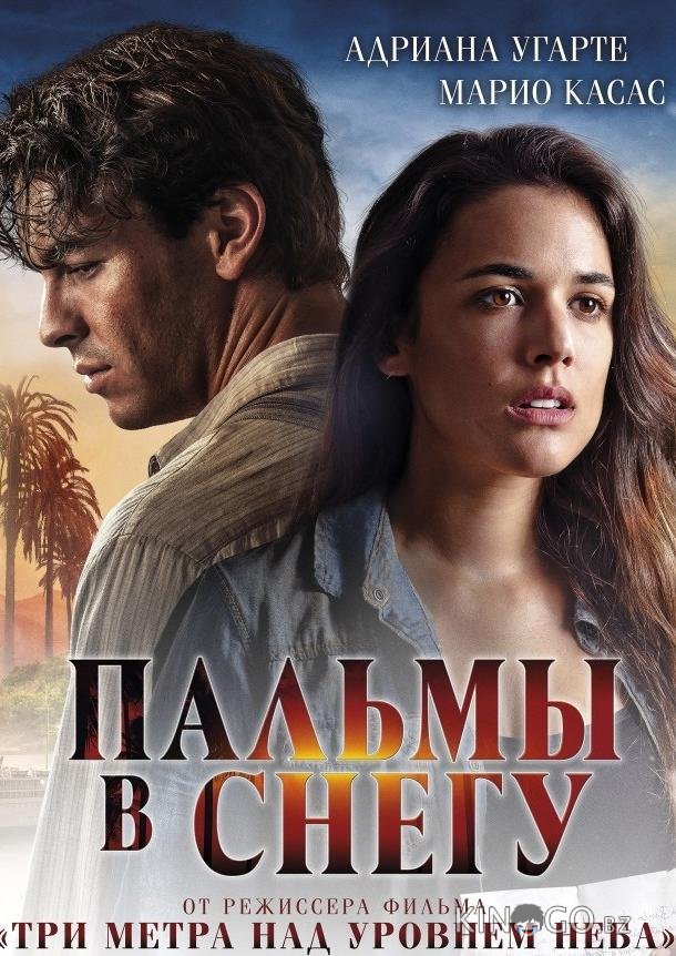 Пальмы в снегу