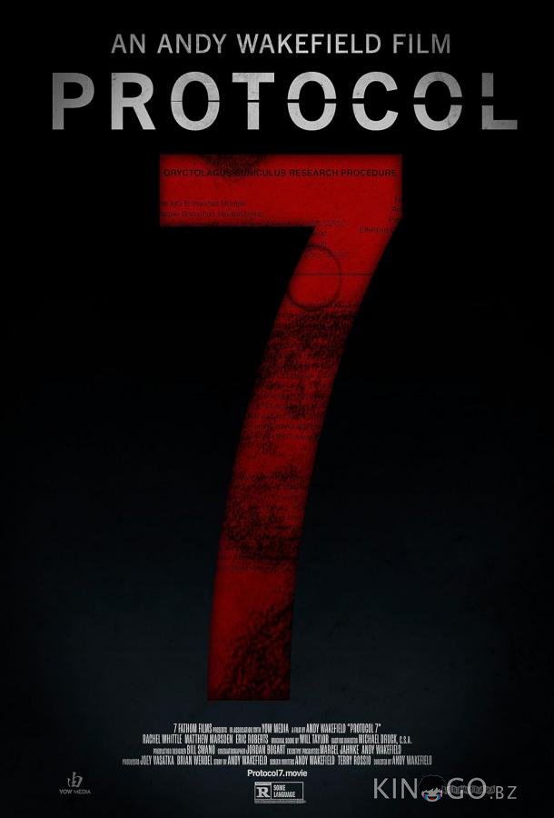 Протокол 7